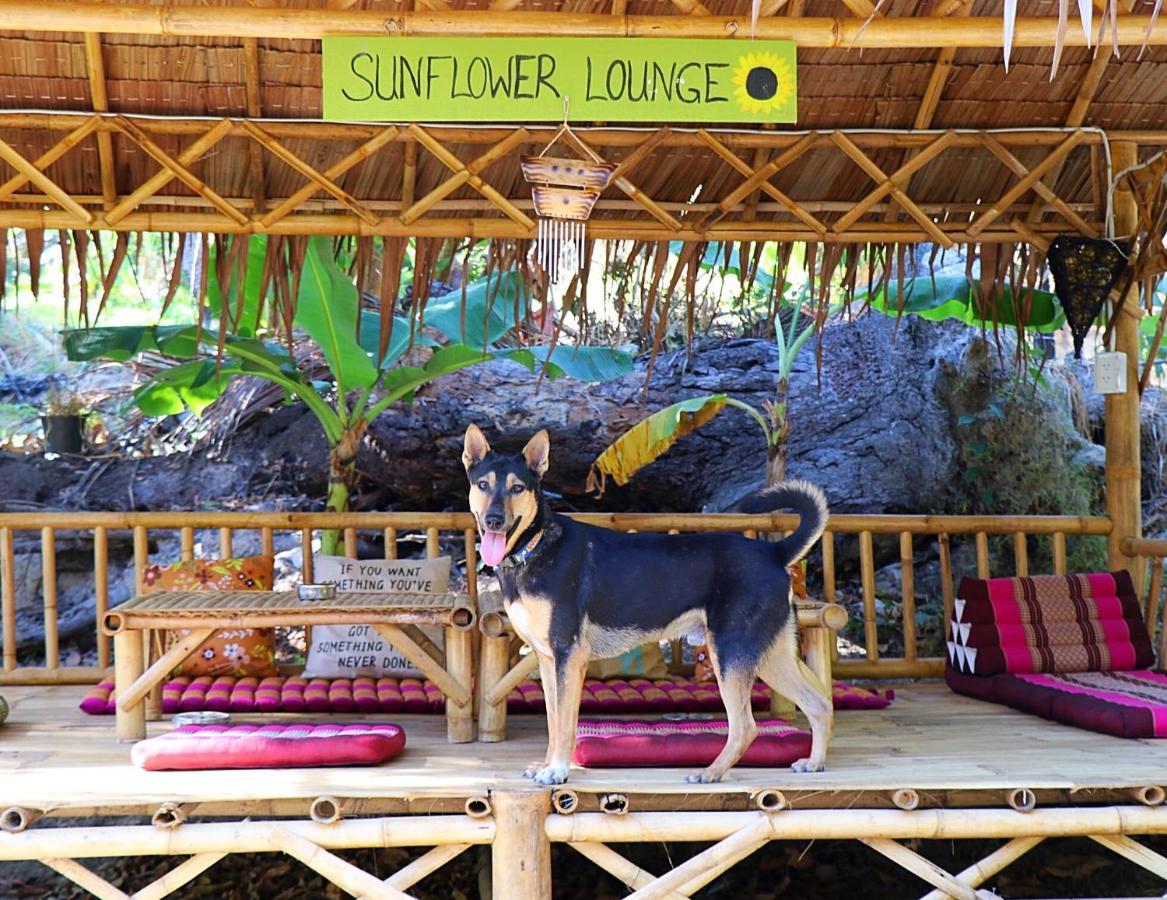 Sunflower Guesthouse And Animal Rescue - Koh Lipe Exterior photo